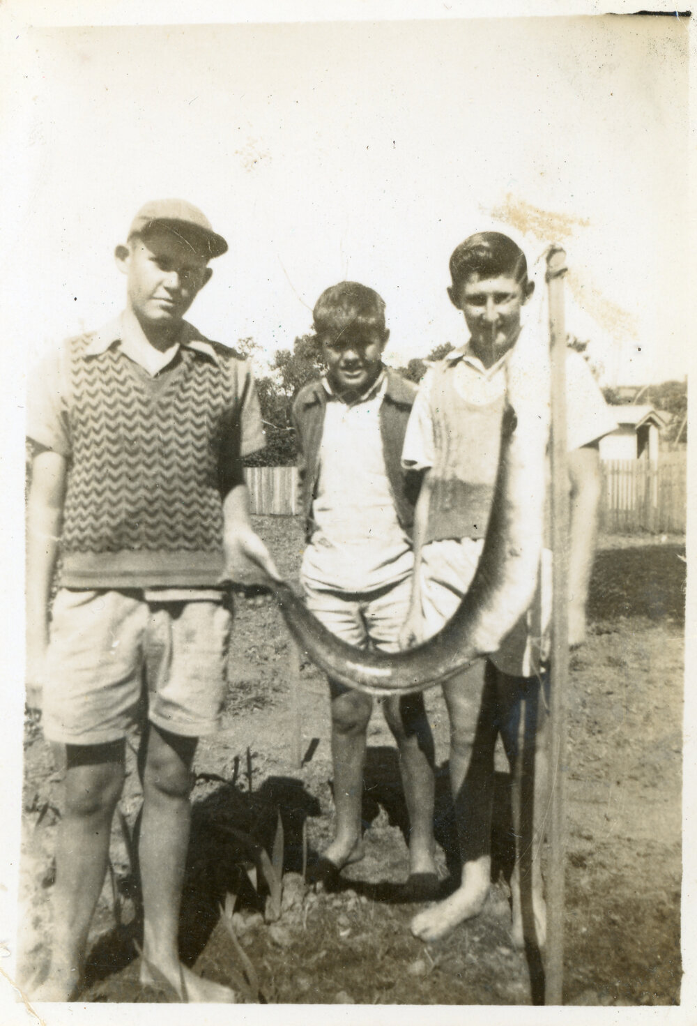 Peter Loader, Allan and Edward with eel caught in Coffs Creek c. 1950s