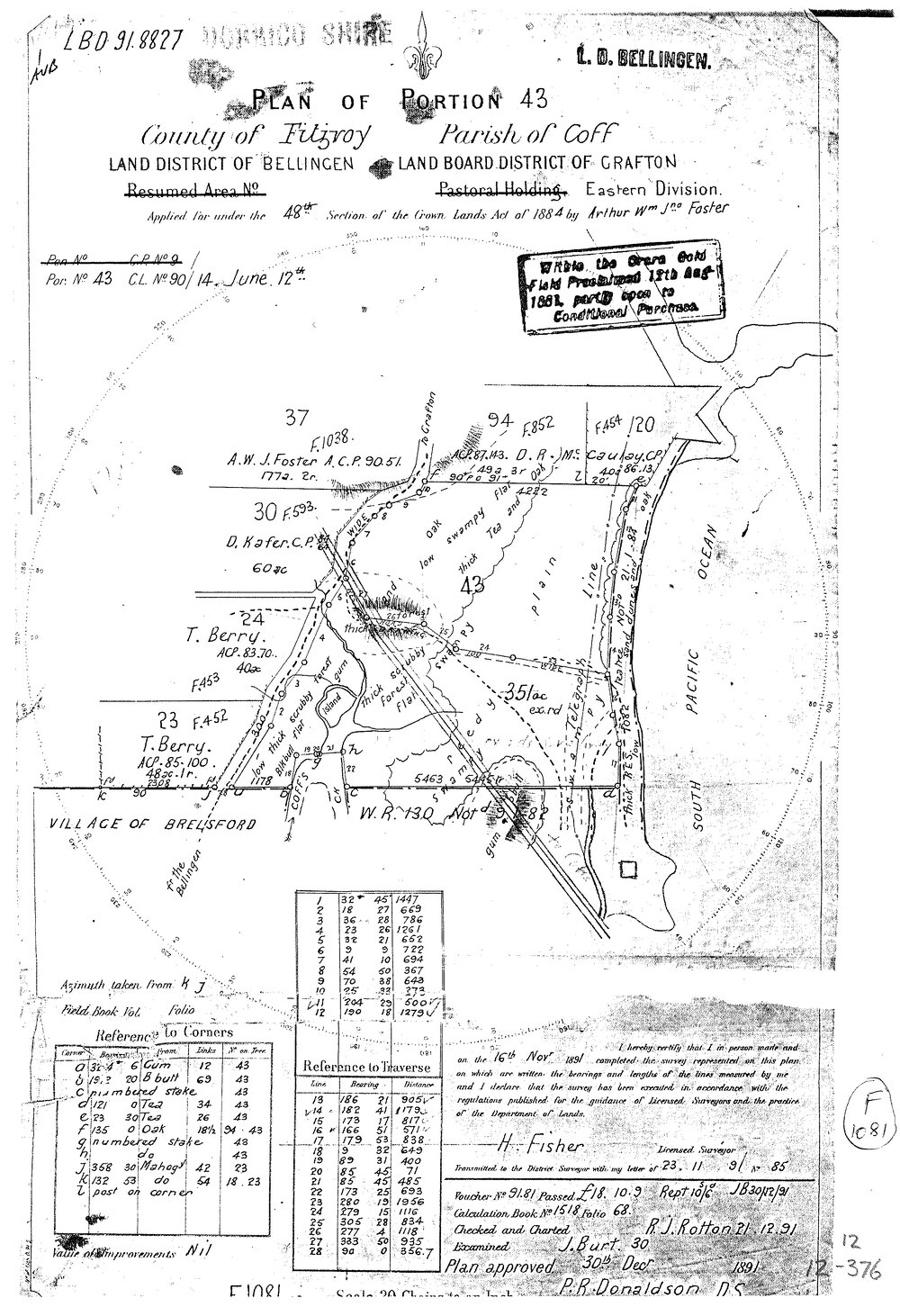 Plan of portion 43, Parish of Coff, 1891