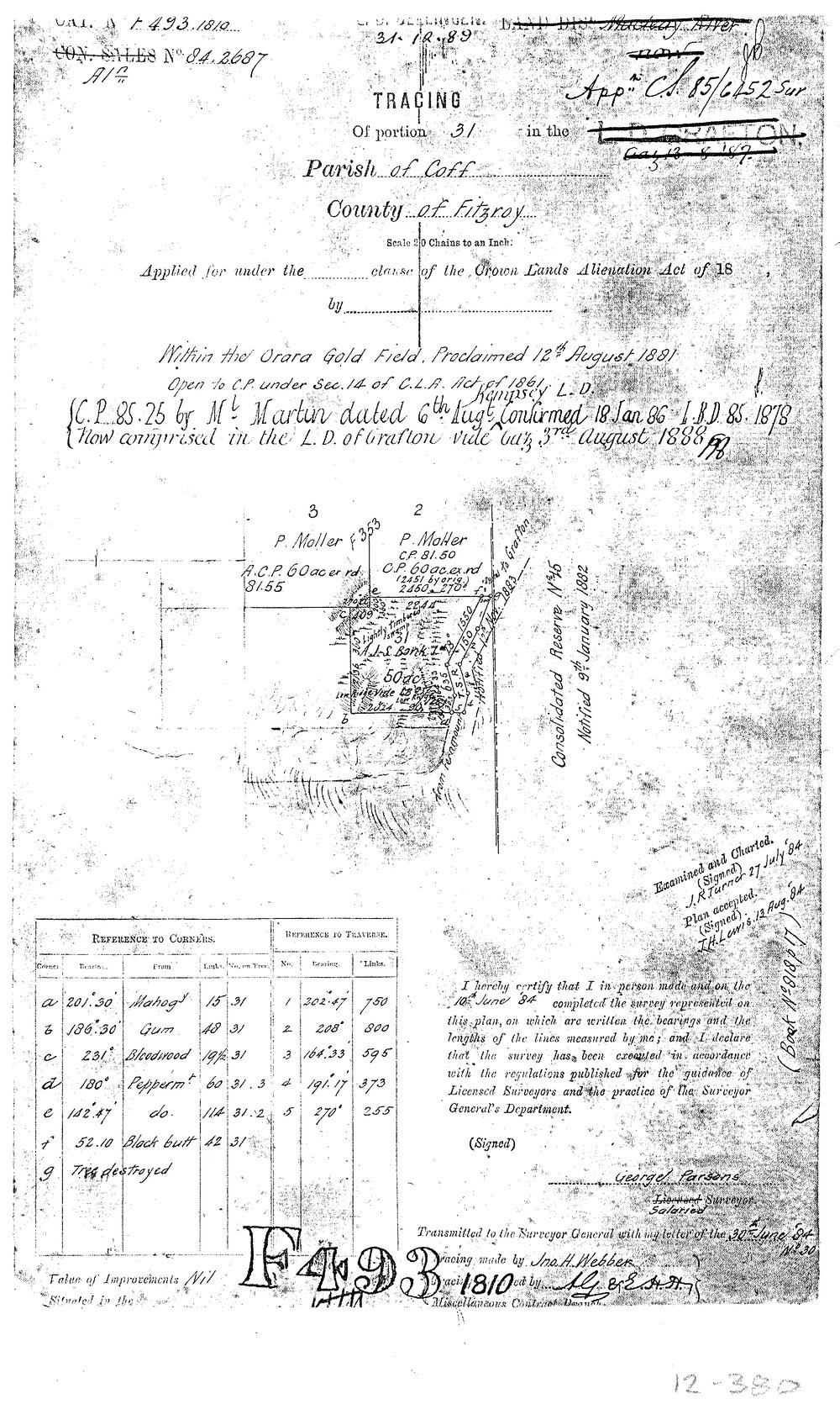 Tracing of portion 31, Parish of Coff, 1884
