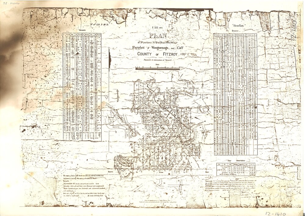 Land portions in Parishes of Wongawanga and Coff, 1884