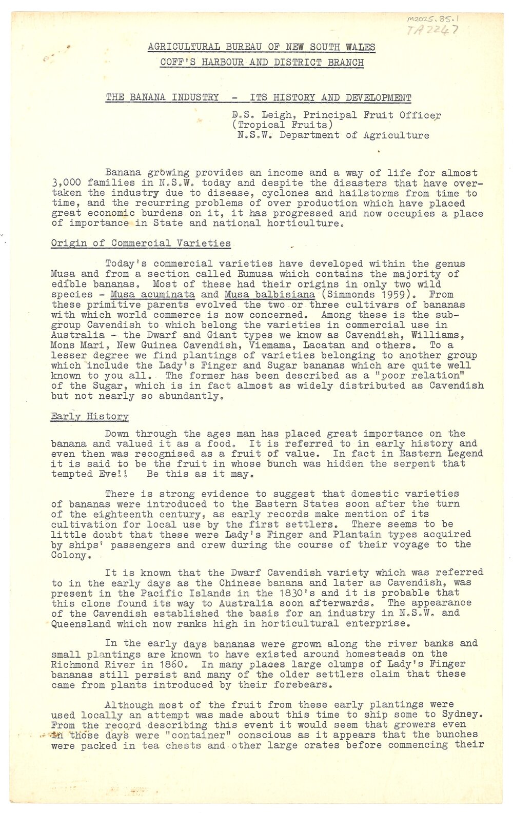 The Banana Industry - History and Development