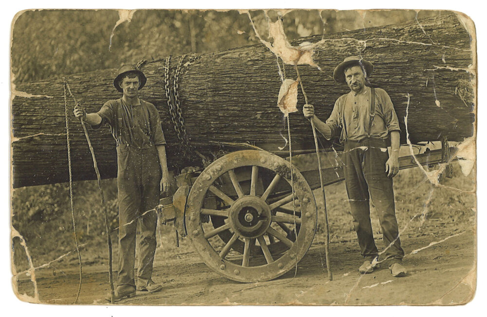Elija Cooper and Ron Harris with timber jinker