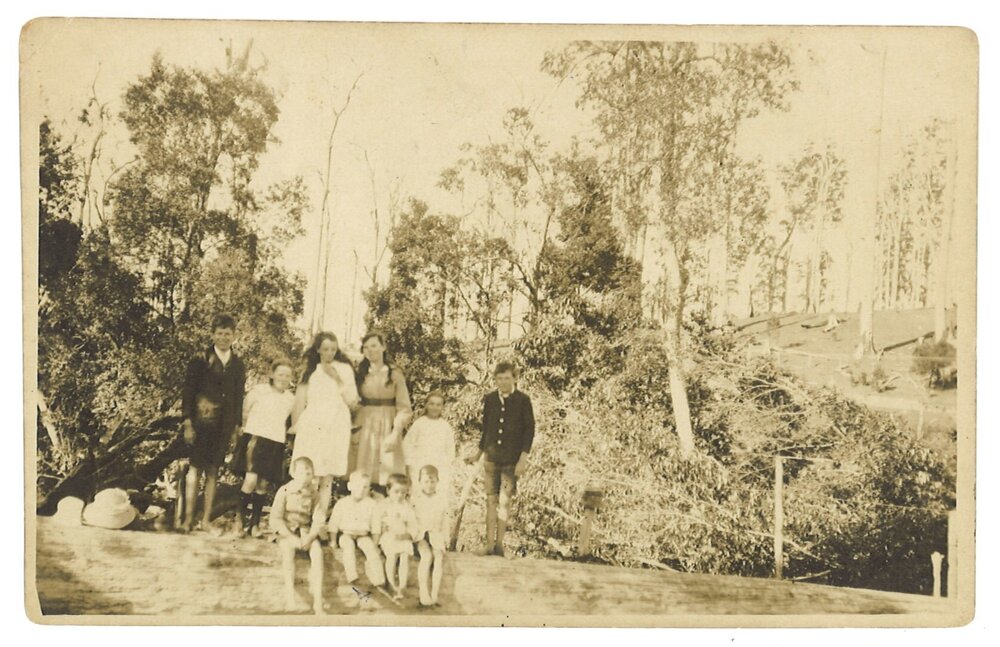 Group of children on a fallen tree trunk, Dairyville