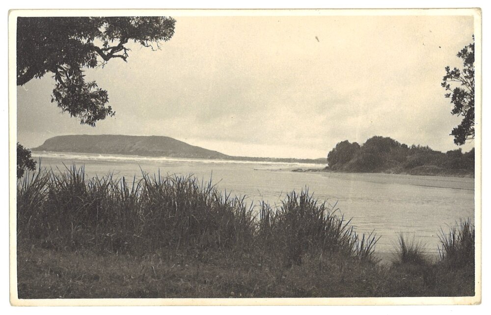 Muttonbird Island from Coffs Creek entrance, Coffs Harbour