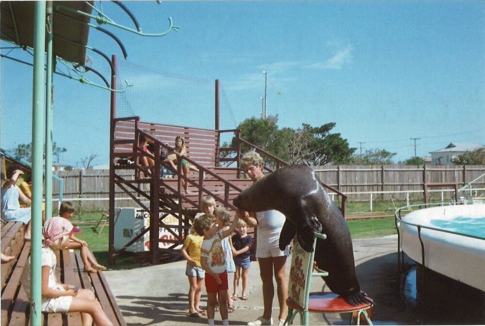 Geoff Mitchell with seal, Pet Porpoise Pool, Coffs Harbour, Mid 1980s