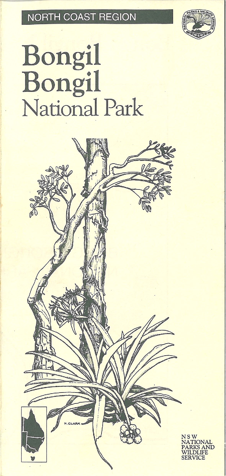 Bongil Bongil National Park visitor guide