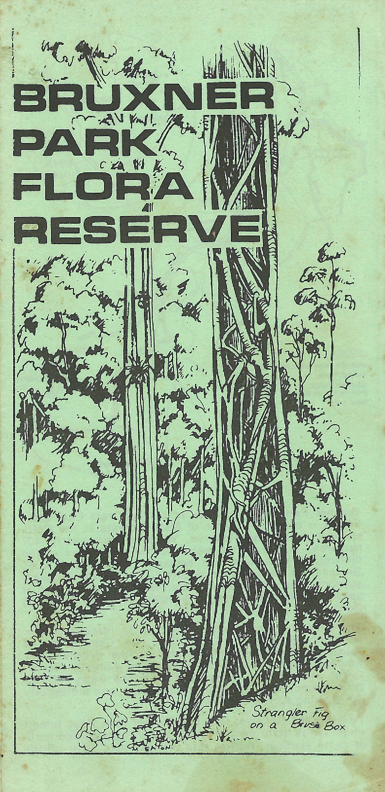 Bruxner Park Flora Reserve visitor guide