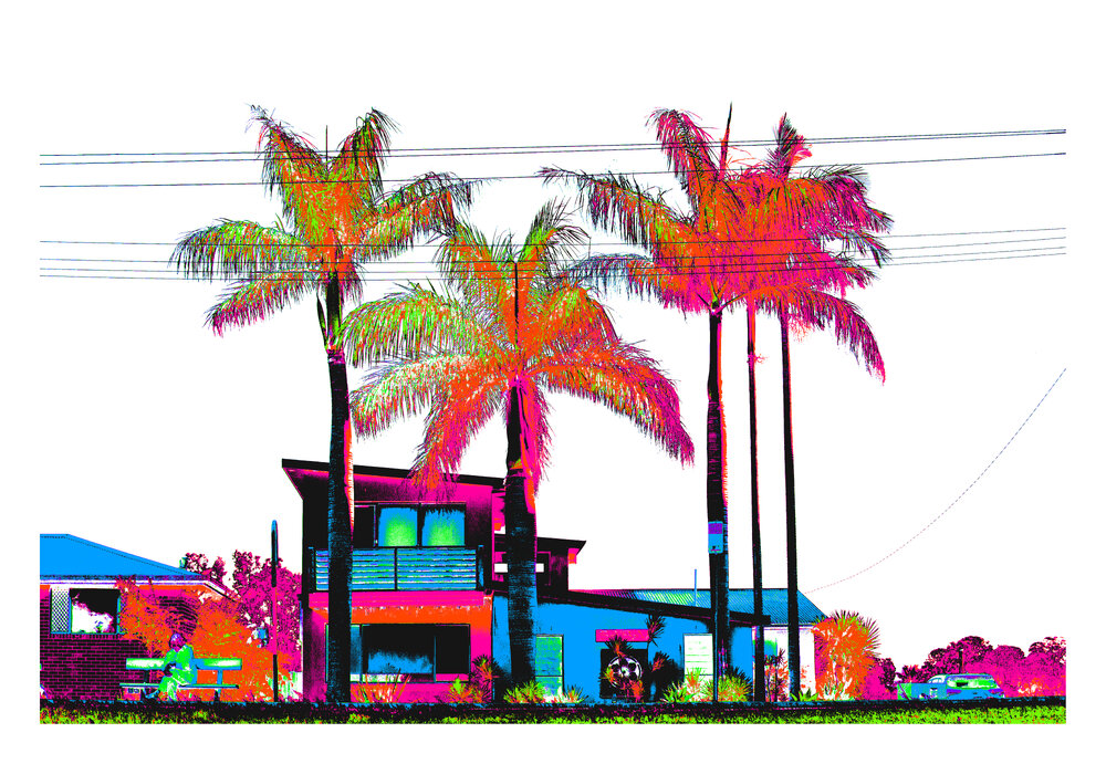 Coastal Palms