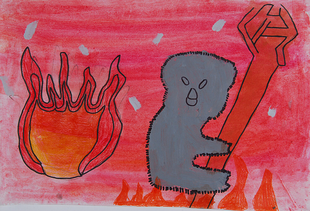 Bush Fires