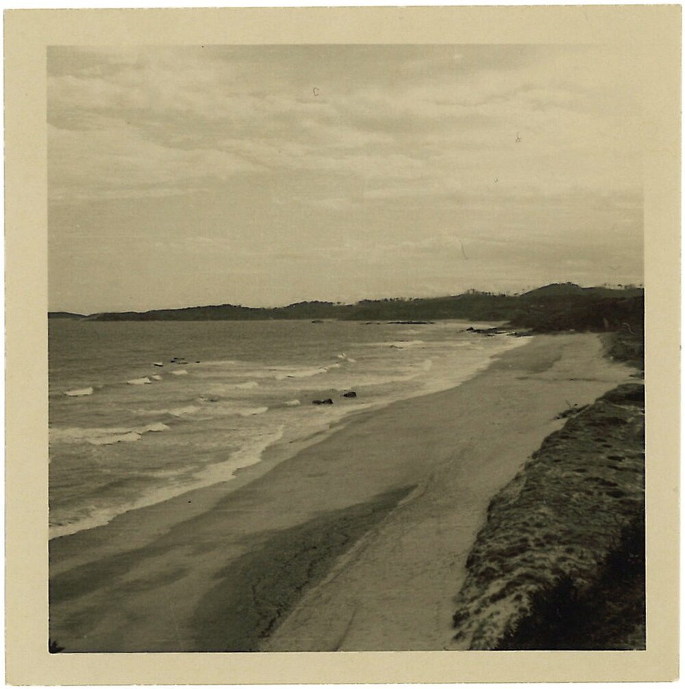 View looking south from 'Bimbadeen', Sapphire Beach, 1961