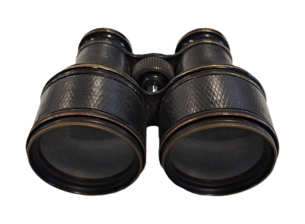 Binoculars in Case