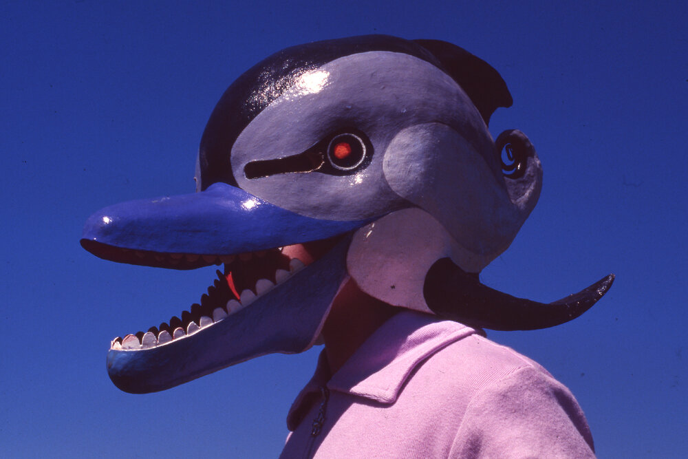 Dolphin mask