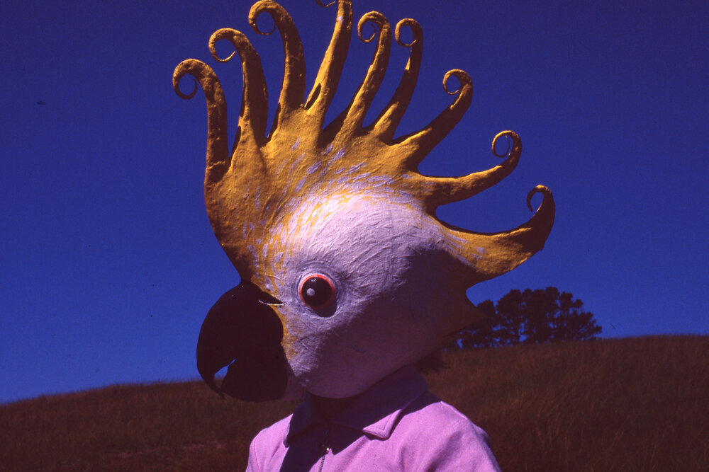 Cockatoo mask