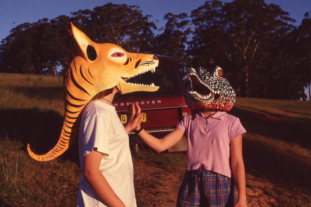 Crocodile and dingo mask
