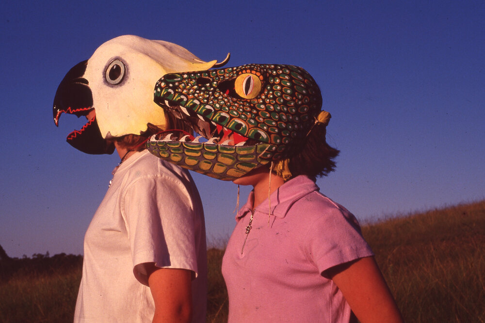 Homemade masks