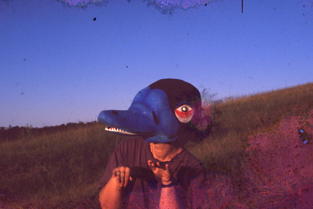 Platypus mask
