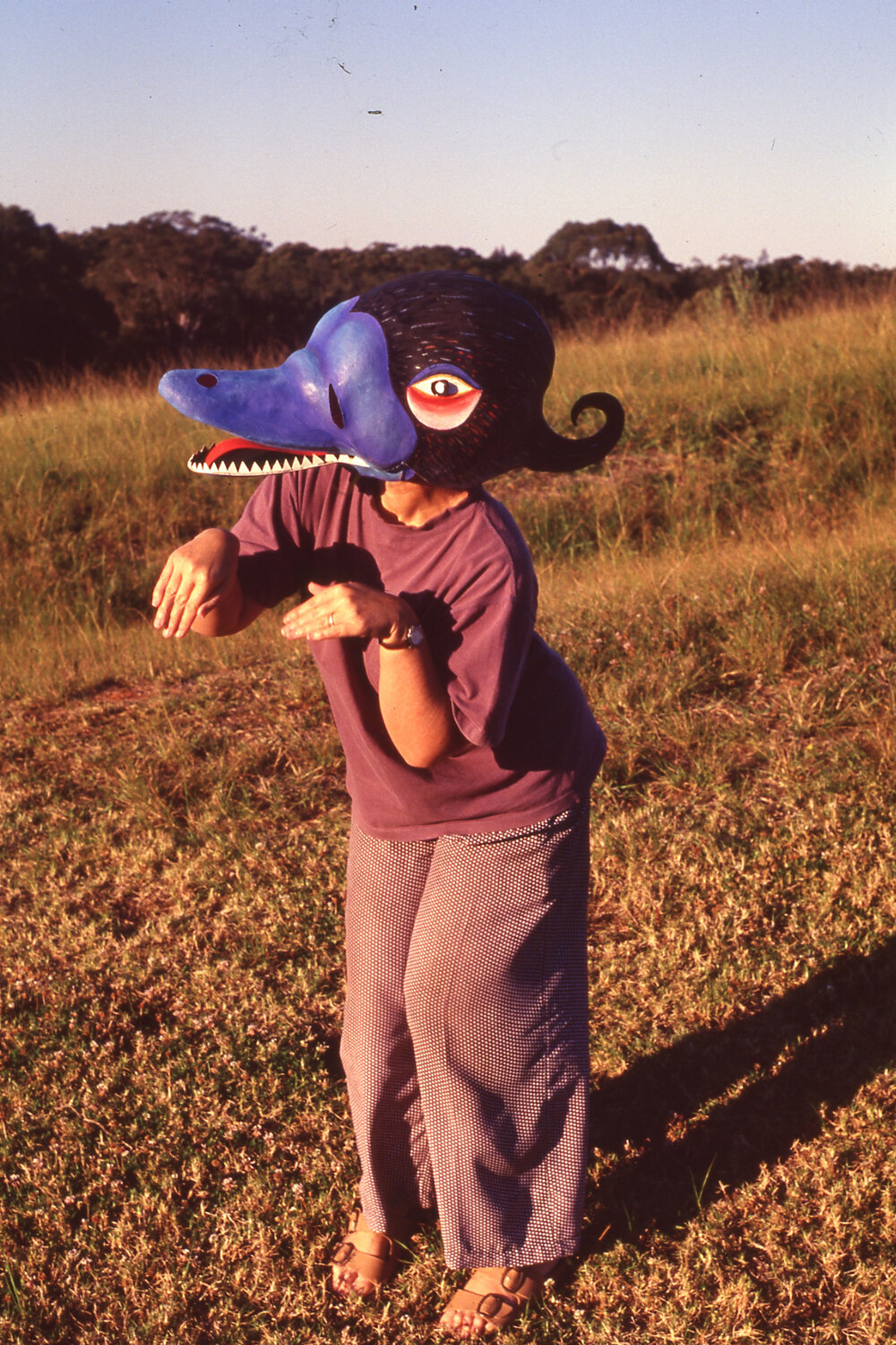 Platypus mask
