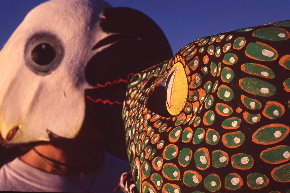 Homemade masks