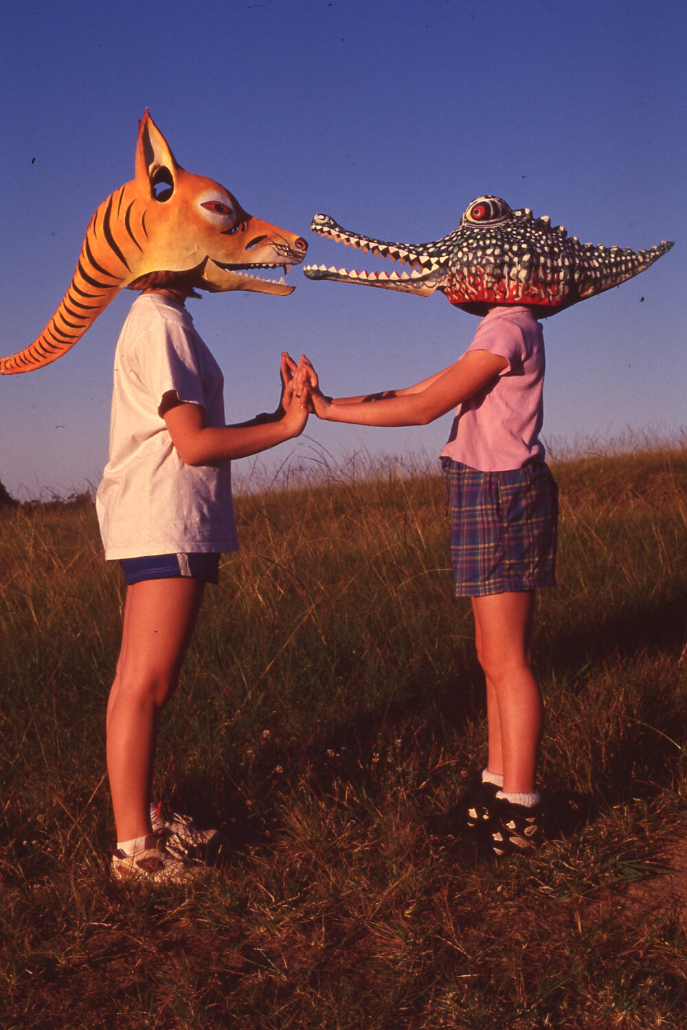 Homemade masks