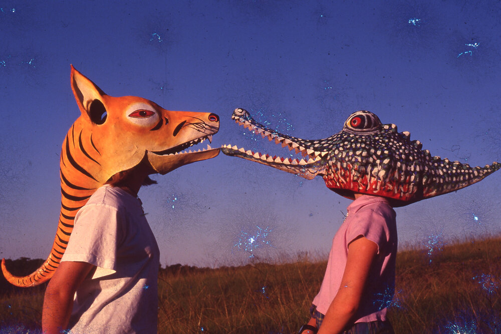 Homemade masks