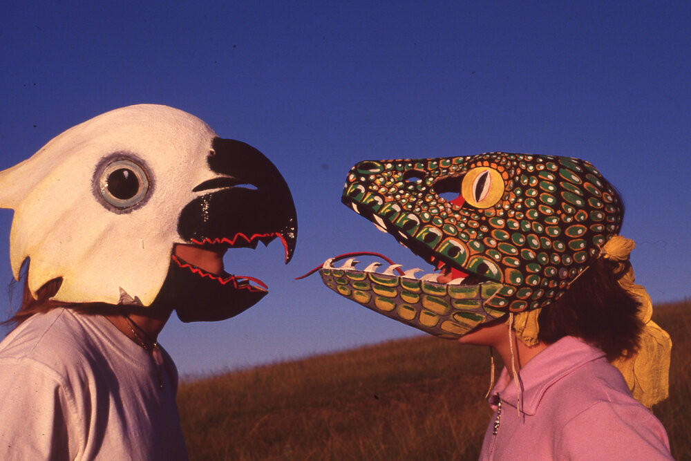 Homemade masks