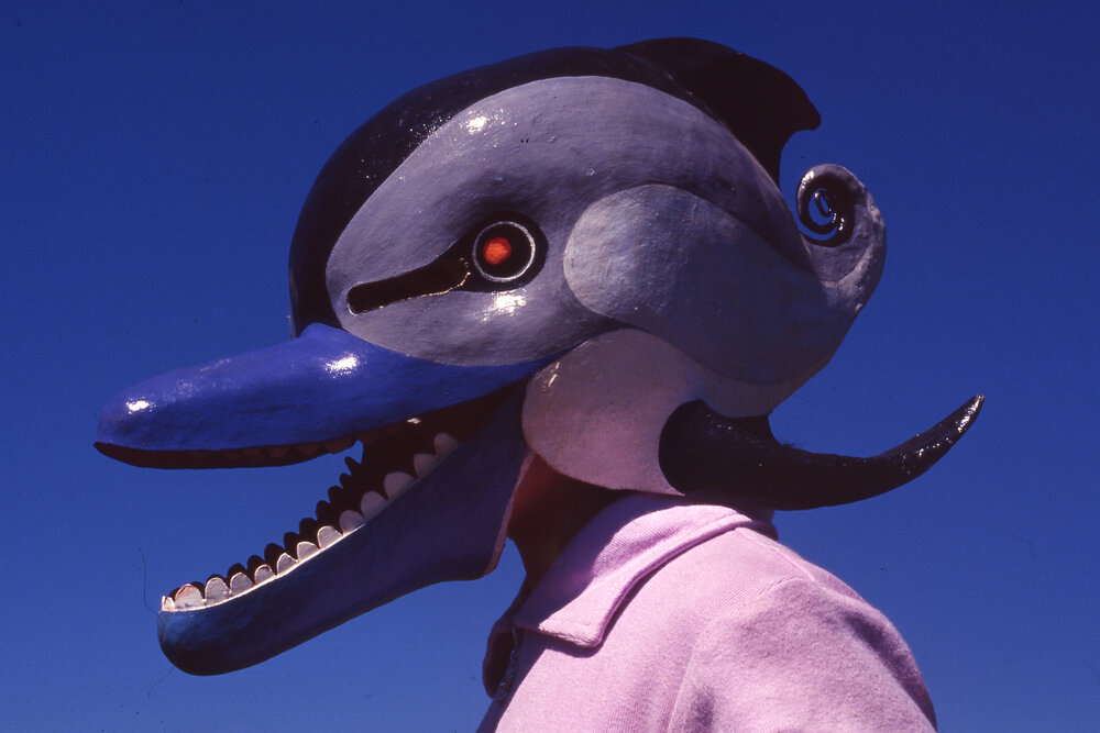 Dolphin mask
