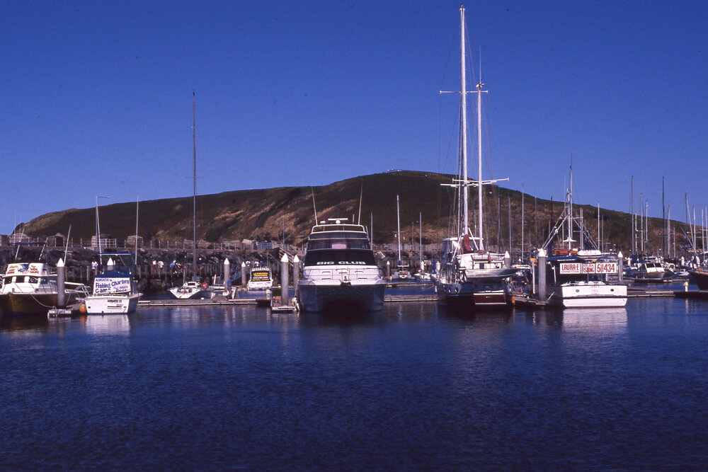 Boats at the Marina