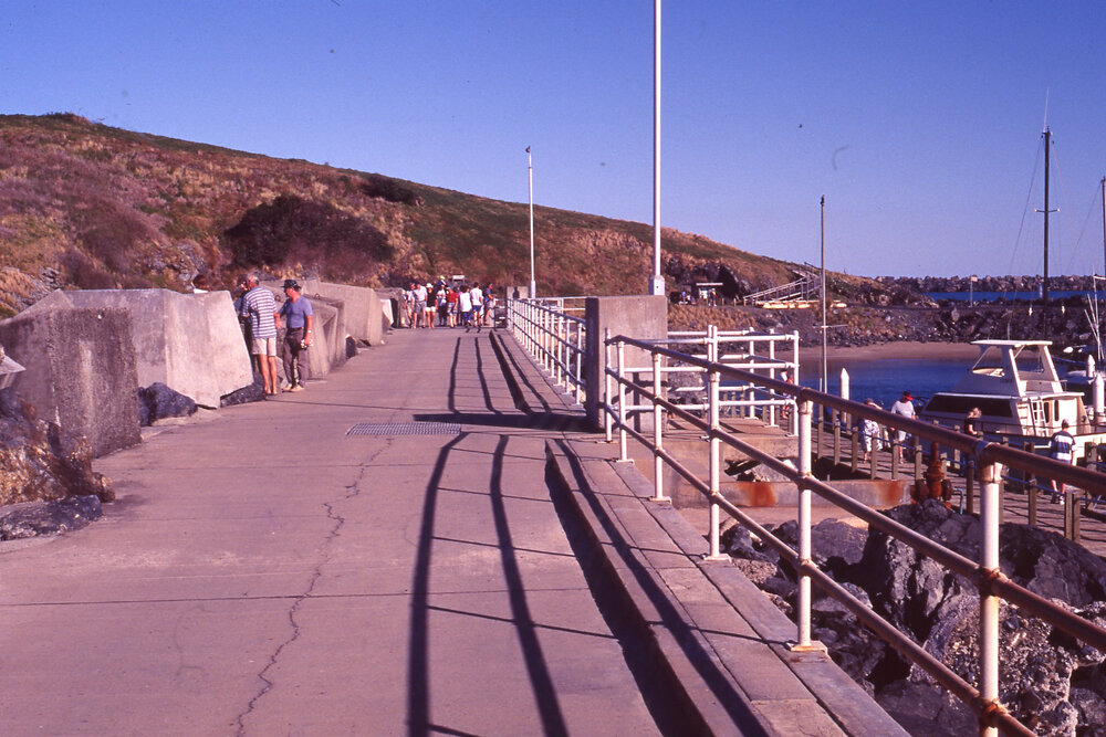Northern Breakwall and Muttonbird Island