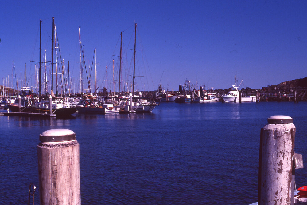 Boats at the Marina
