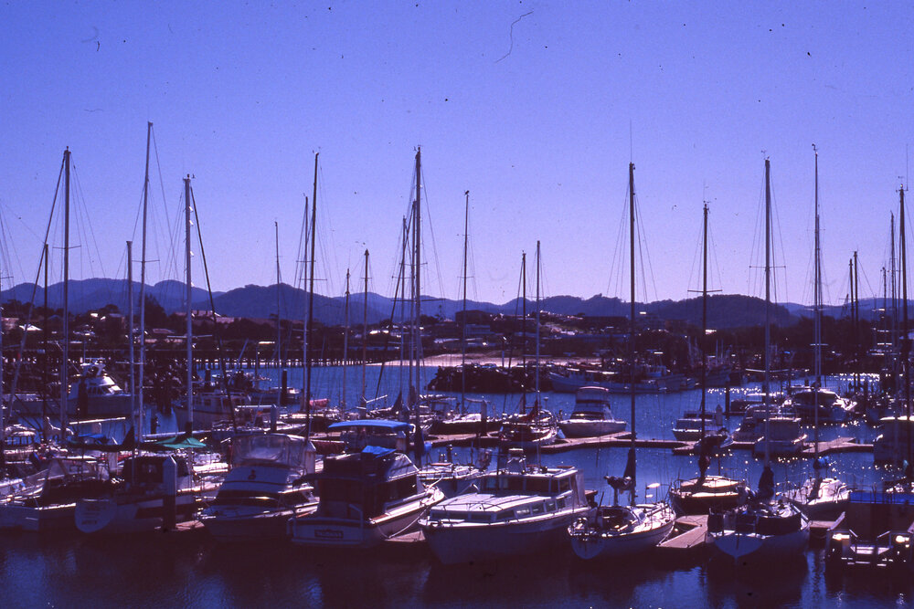 Boats at the Marina