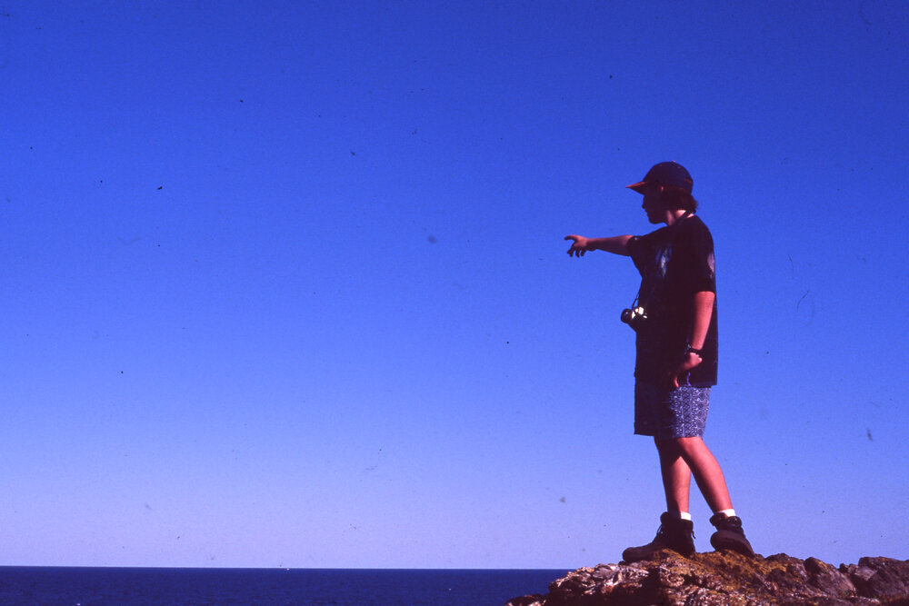Person looking out from Muttonbird Island