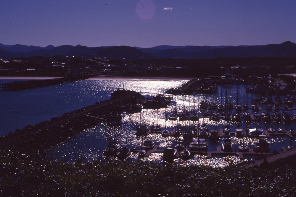 View of the Marina from Muttonbird Island