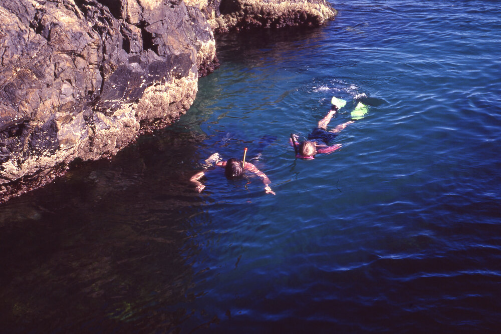 People snorkeling 