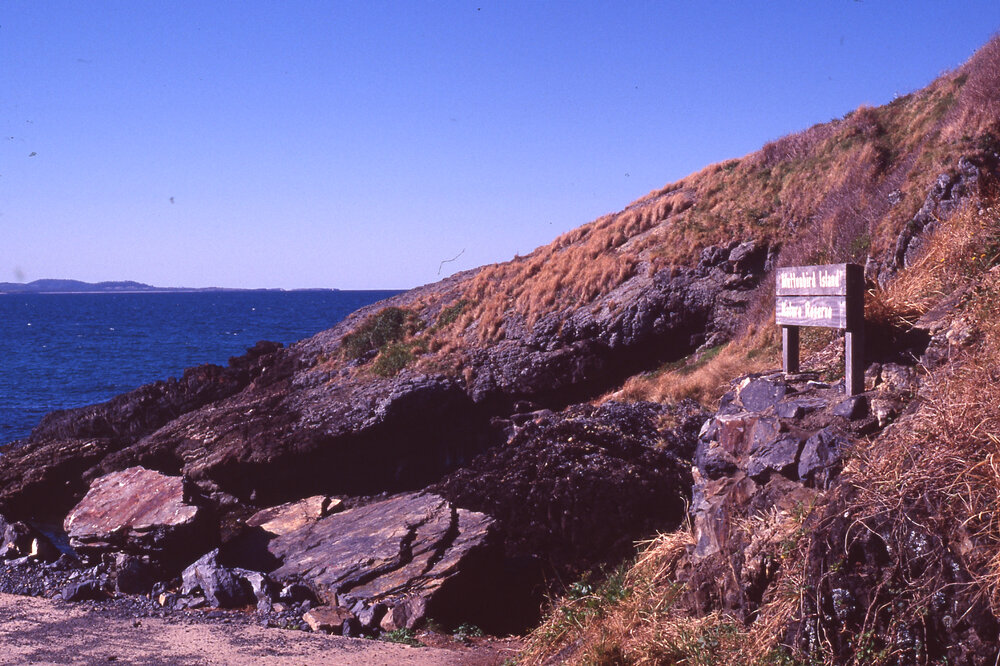 Muttonbird Island Nature Reserve