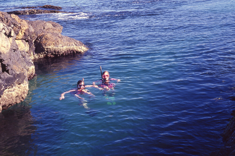 People snorkeling 