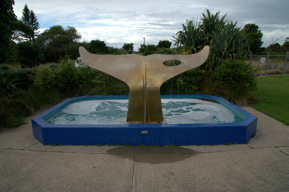 The Humpback Whale, or The Whale Tail, Coffs Harbour Jetty