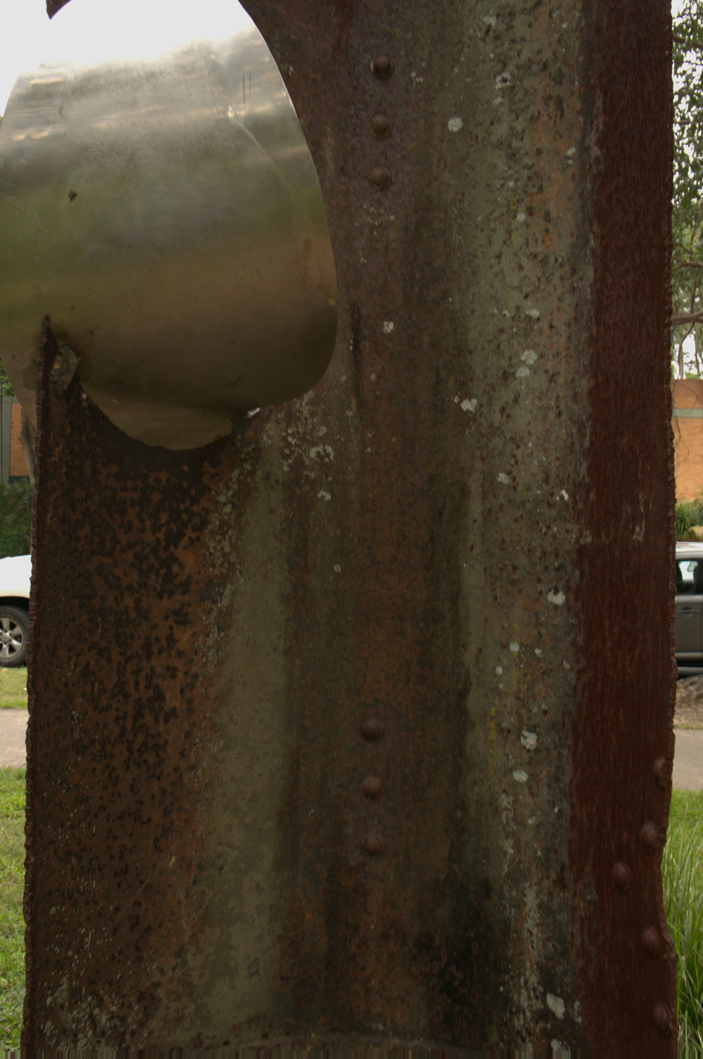 Tree Trunk &amp; Falling Leaf, Coff Street
