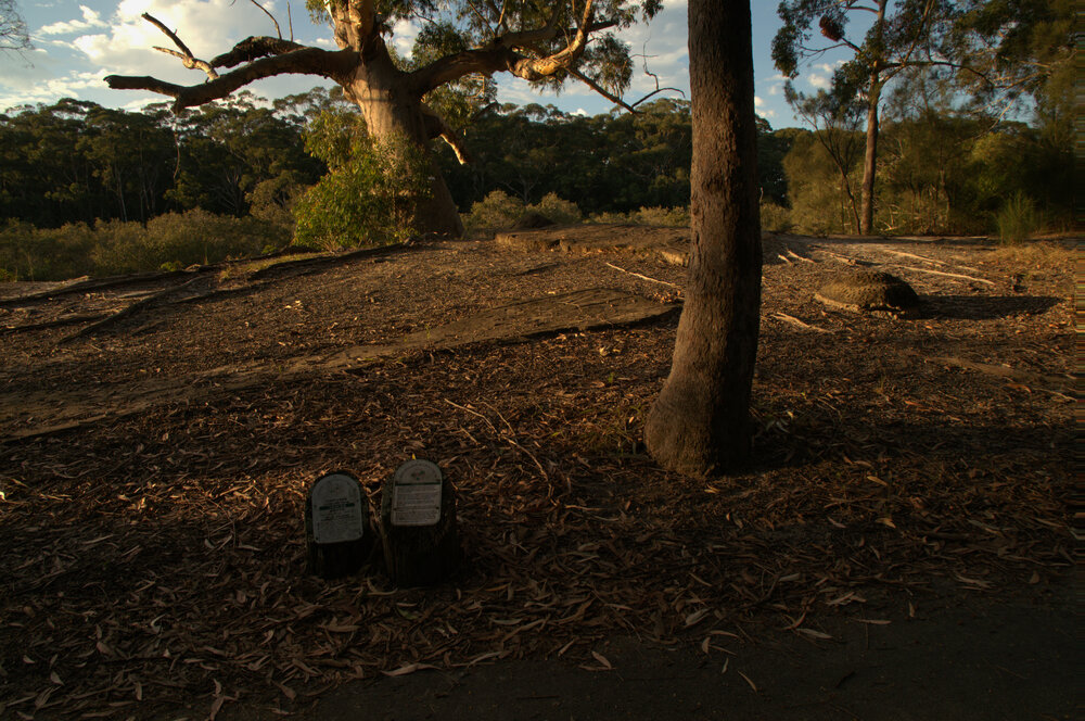 Traces, Coffs Creek