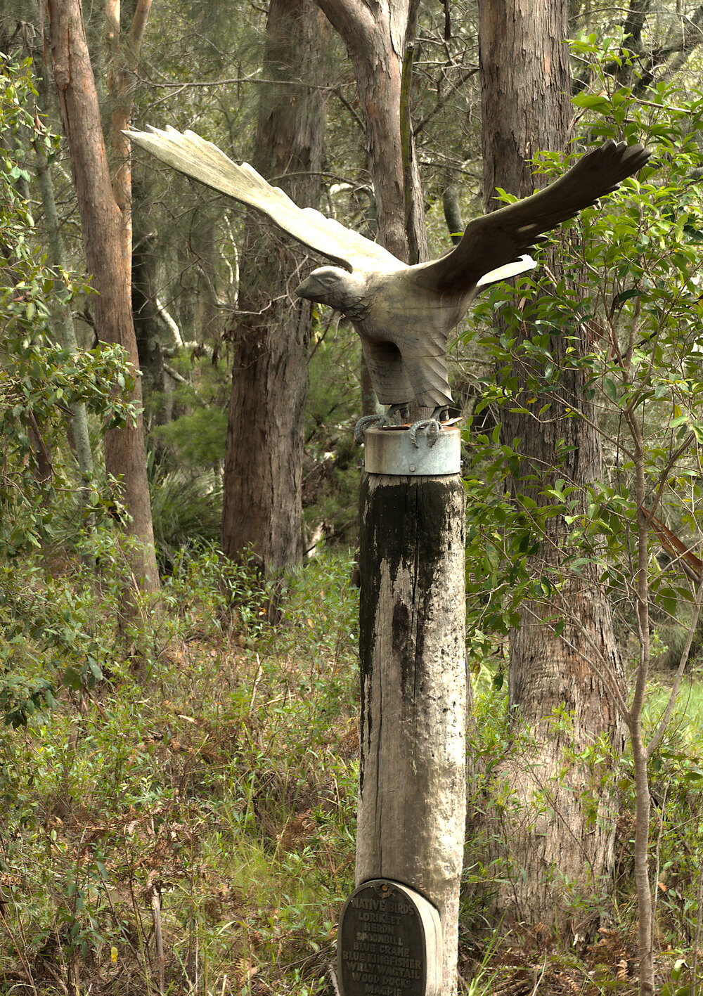 Guardian of the Creek, Coffs Harbour