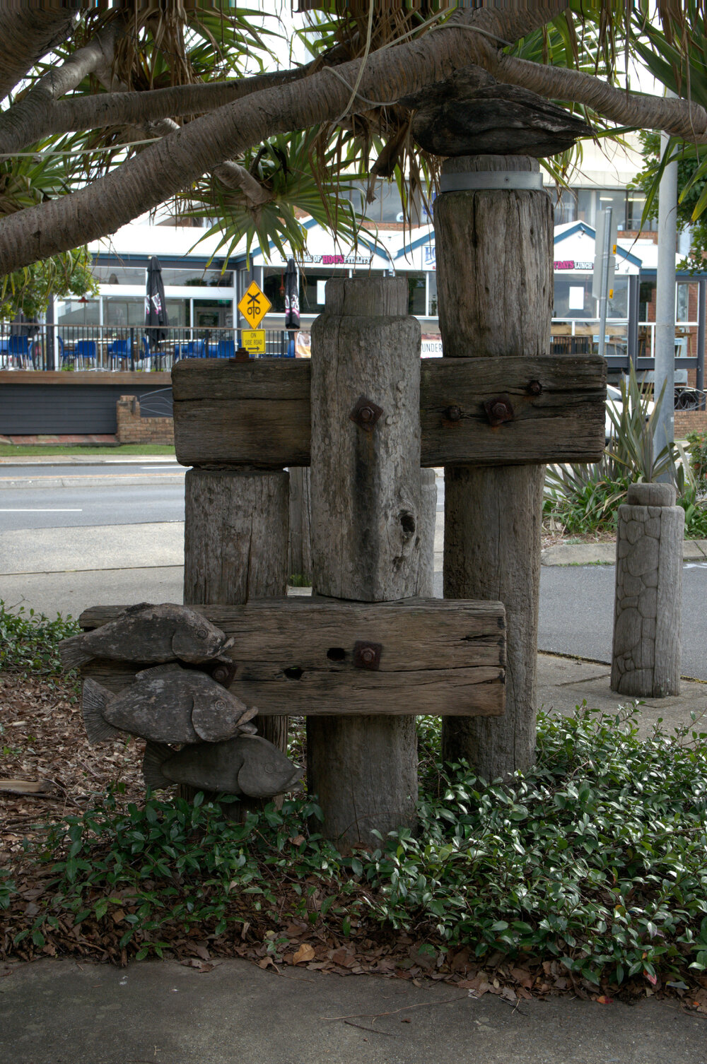 Pelican and Fish, Coffs Harbour Jetty