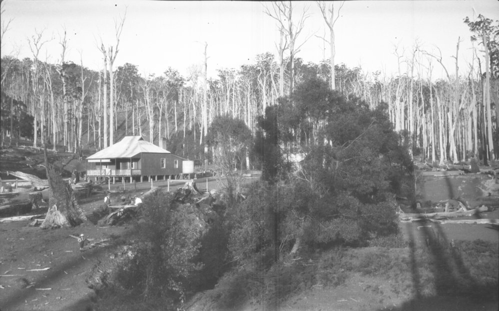 Timber hand-sawing near Julius Andersen's farm 'Myuna', 21 October 1923