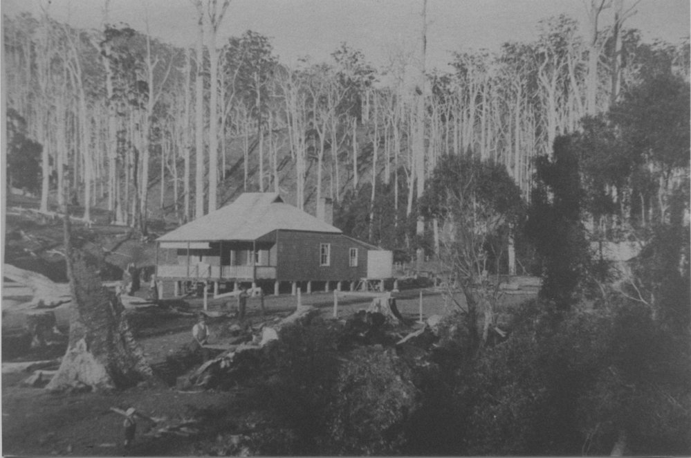Hand sawing timber near Julius Andersen's farm house 'Myuna', c. 1923 