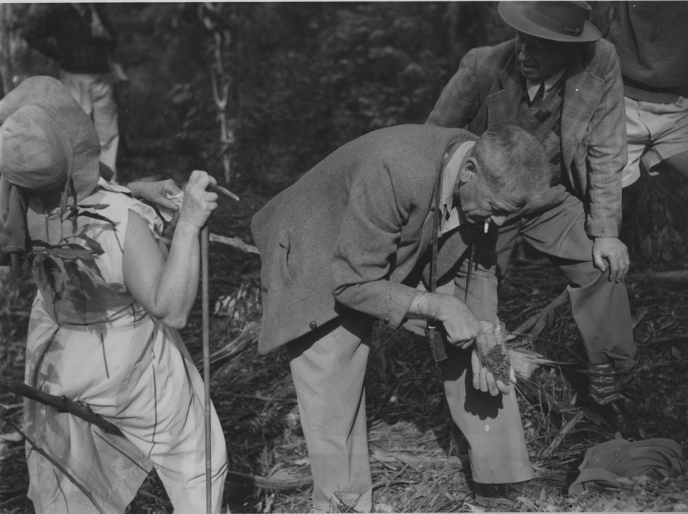 Gordon A. Patterson and others in bushland, c. 1940s