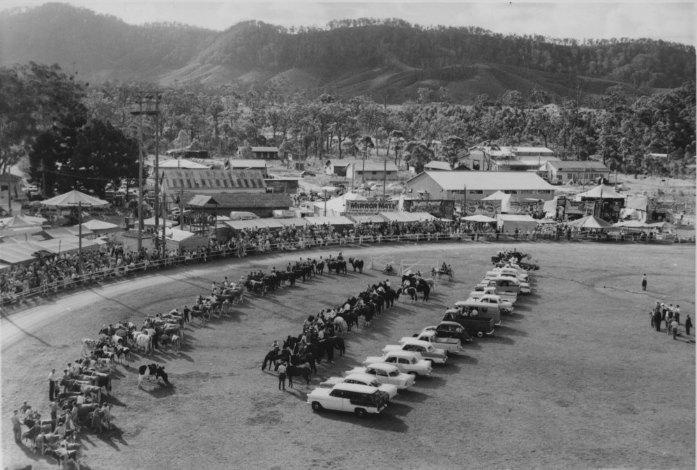 Cattle, horses, riders and vehicles in the arena at the Coffs Harbour Annual Show, 1964 