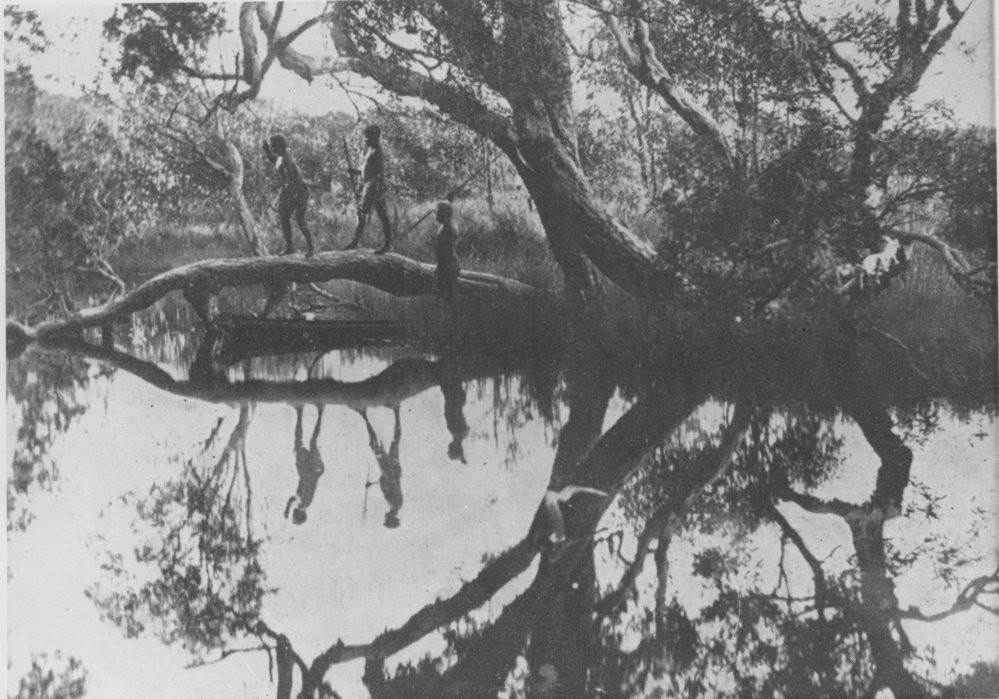 Three Aboriginal men hunting at a river, 1870s