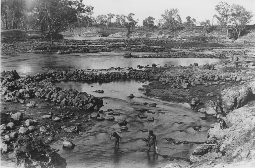 Aboriginal children catching fish in traps in the Darling River near Brewarrina, 1880 - 1910