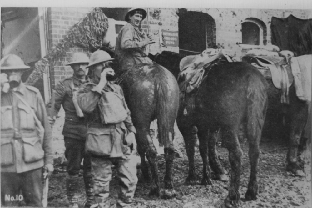 Soldiers and horses pause for a drink during World War I, 1917