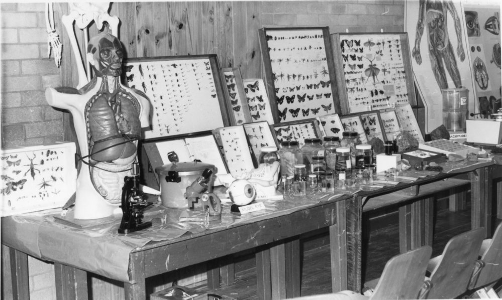 Education Week at Orara High School, 1977 