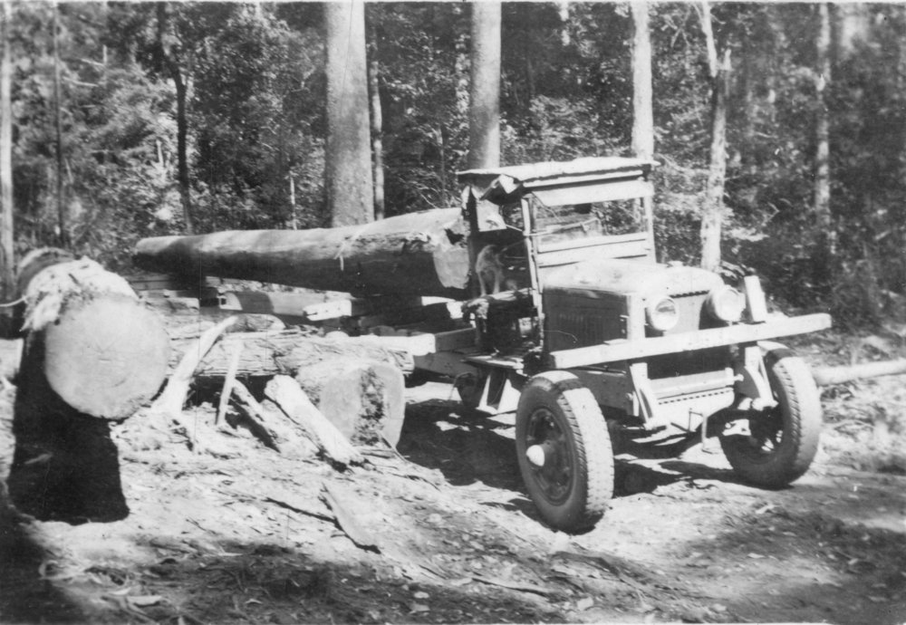 A dog sitting in the front of a fully laden logging truck, 1930s