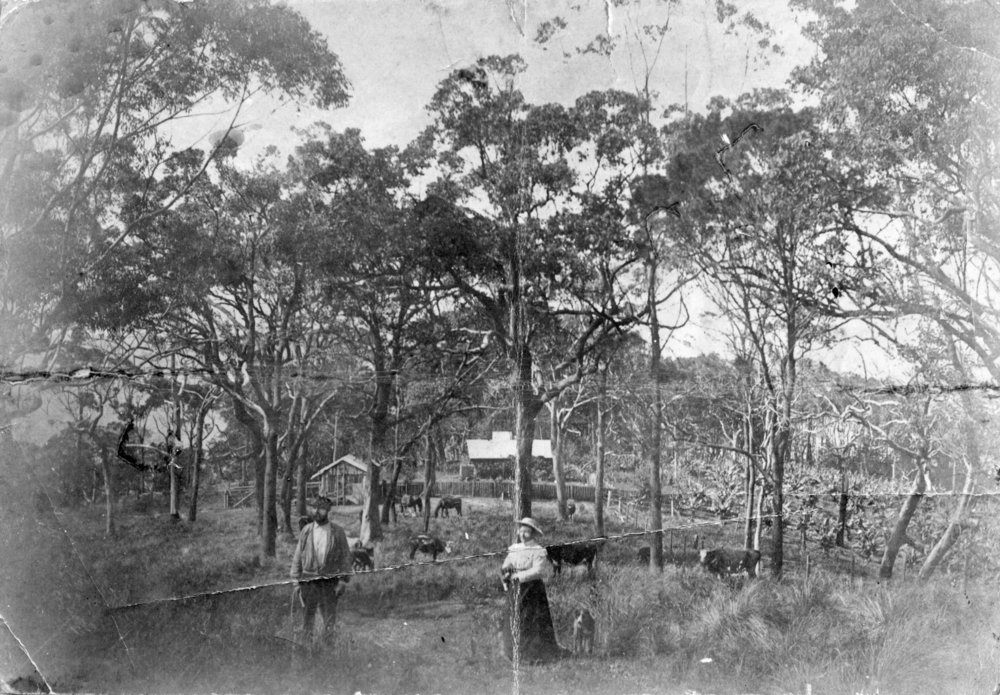 Hermann and Fanny Rieck on their banana plantation, 1893